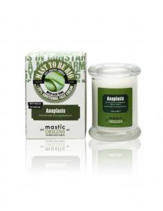 Mastic Origins Anaplasis Αντιρυτιδική - Συσφιγκτική Κρέμα Λάμψης