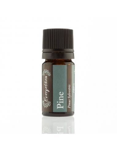 Evergetikon Essential oil Pine 5ml