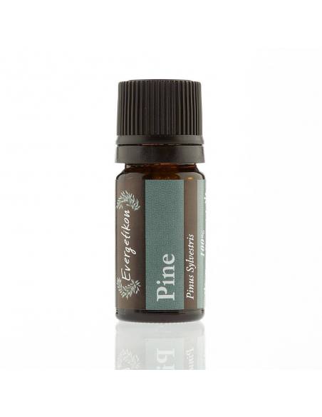 Evergetikon Essential oil Pine 5ml