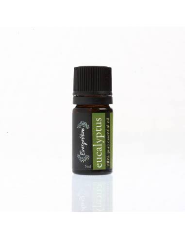 Evergetikon Essential oil Eucalyptus 5ml