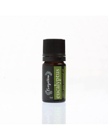 Evergetikon Αιθέριο έλαιο Eυκάλυπτος 5ml