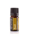 Evergetikon Essential Oil Basil 5ml